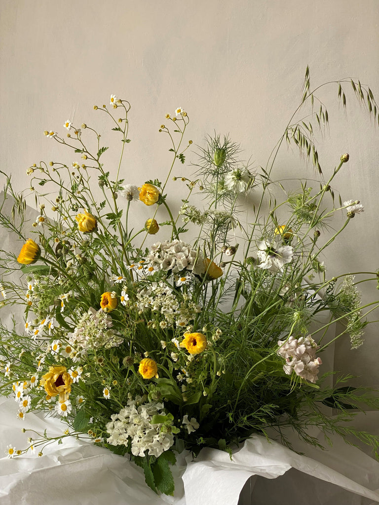 Feverfew