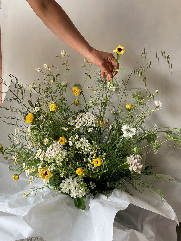 Feverfew