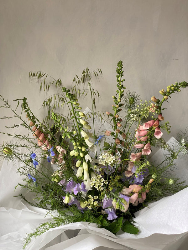 Foxglove